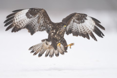 Aiko_Sukdolak-Fotoreise-Polen-7930