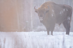 Aiko_Sukdolak-Fotoreise-Polen-8931