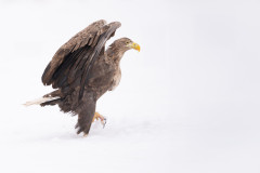 Aiko_Sukdolak-Fotoreise-Polen-9