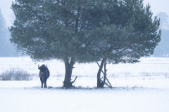 Aiko_Sukdolak-Fotoreise-Polen-9202-2