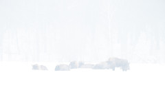 Aiko_Sukdolak-Fotoreise-Polen-9231-2