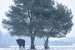 Aiko_Sukdolak-Fotoreise-Polen-9252