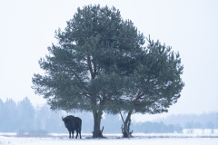 Aiko_Sukdolak-Fotoreise-Polen-9267