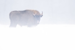 Aiko_Sukdolak-Fotoreise-Polen-9408