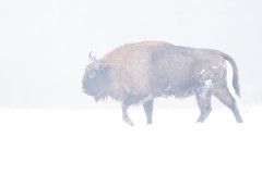 Aiko_Sukdolak-Fotoreise-Polen-9443