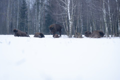Aiko_Sukdolak-Fotoreise-Polen-9518