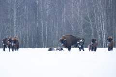 Aiko_Sukdolak-Fotoreise-Polen-9641