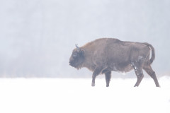 Aiko_Sukdolak-Fotoreise-Polen-9651
