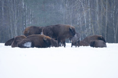 Aiko_Sukdolak-Fotoreise-Polen-9678