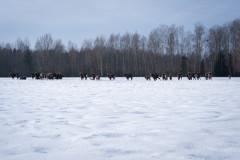 Aiko_Sukdolak-Fotoreise-Polen-9748