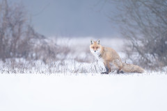 Aiko_Sukdolak-Fotoreise-Polen-9858-2
