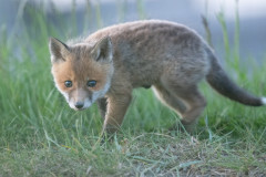 AikoSukdolak_DSC_0369