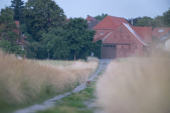 AikoSukdolak_DSC_6343