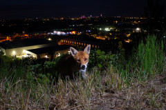 AikoSukdolak_DSC_7723