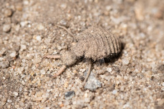 AikoSukdolak_DSC_6089