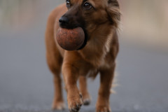AikoSukdolakDSC_0793