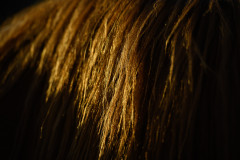 AikoSukdolak__DSC6376