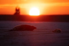 AikoSukdolak_DSC_0605