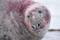 AikoSukdolak_DSC_5351
