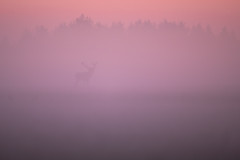 AikoSukdolak__DSC5918