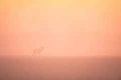 AikoSukdolak__DSC5936