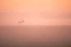 AikoSukdolak__DSC5972