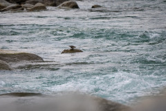 AikoSukdolak_DSC_4817