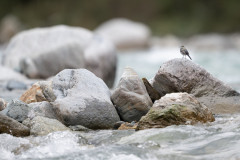 AikoSukdolak_DSC_4910