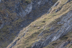 AikoSukdolak_DSC_5415