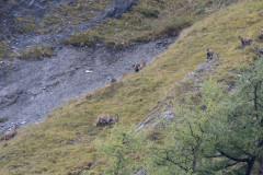 AikoSukdolak_DSC_5429