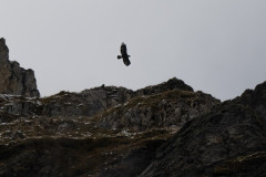 AikoSukdolak_DSC_5436