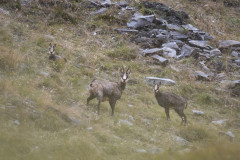AikoSukdolak_DSC_6056