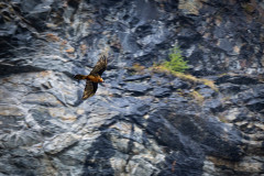 AikoSukdolak_DSC_7067-Verbessert-RR