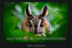 Wildtierfoto Kalender 2020