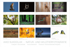 2021-11-Kalender2022-Back