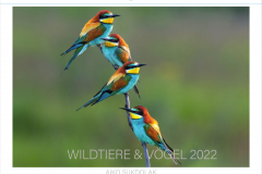 2021-11-Kalender2022-front