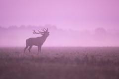 September
