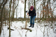 Einschlagen des ersten Lockstocks