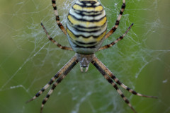 AikoSukdolak_DSC6352
