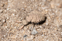 AikoSukdolak_DSC_6096