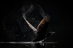 AikoSukdolak_DSC_2499-3