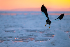 AikoSukdolak_DSC_2687