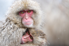 AikoSukdolak_DSC_3065