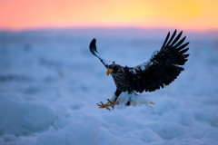 AikoSukdolak_DSC_3066
