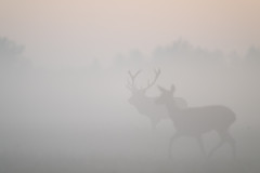 AikoSukdolak_DSC_4482
