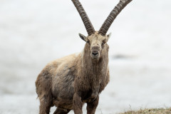 AikoSukdolak_DSC_4742
