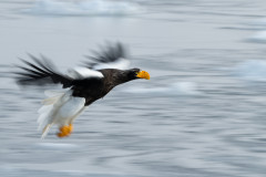 AikoSukdolak_DSC_7775