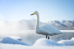 AikoSukdolak_DSC_9645