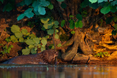 AikoSukdolak__DSC1833