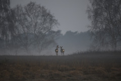Lost Together